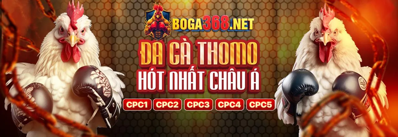 Sân đấu gà kịch tính tại 79win bet