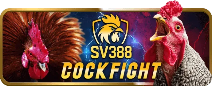 Các chương trình khuyến mãi hấp dẫn tại 79win bet